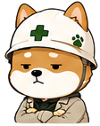 若柴くん