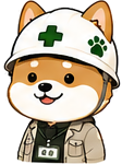 若柴くん